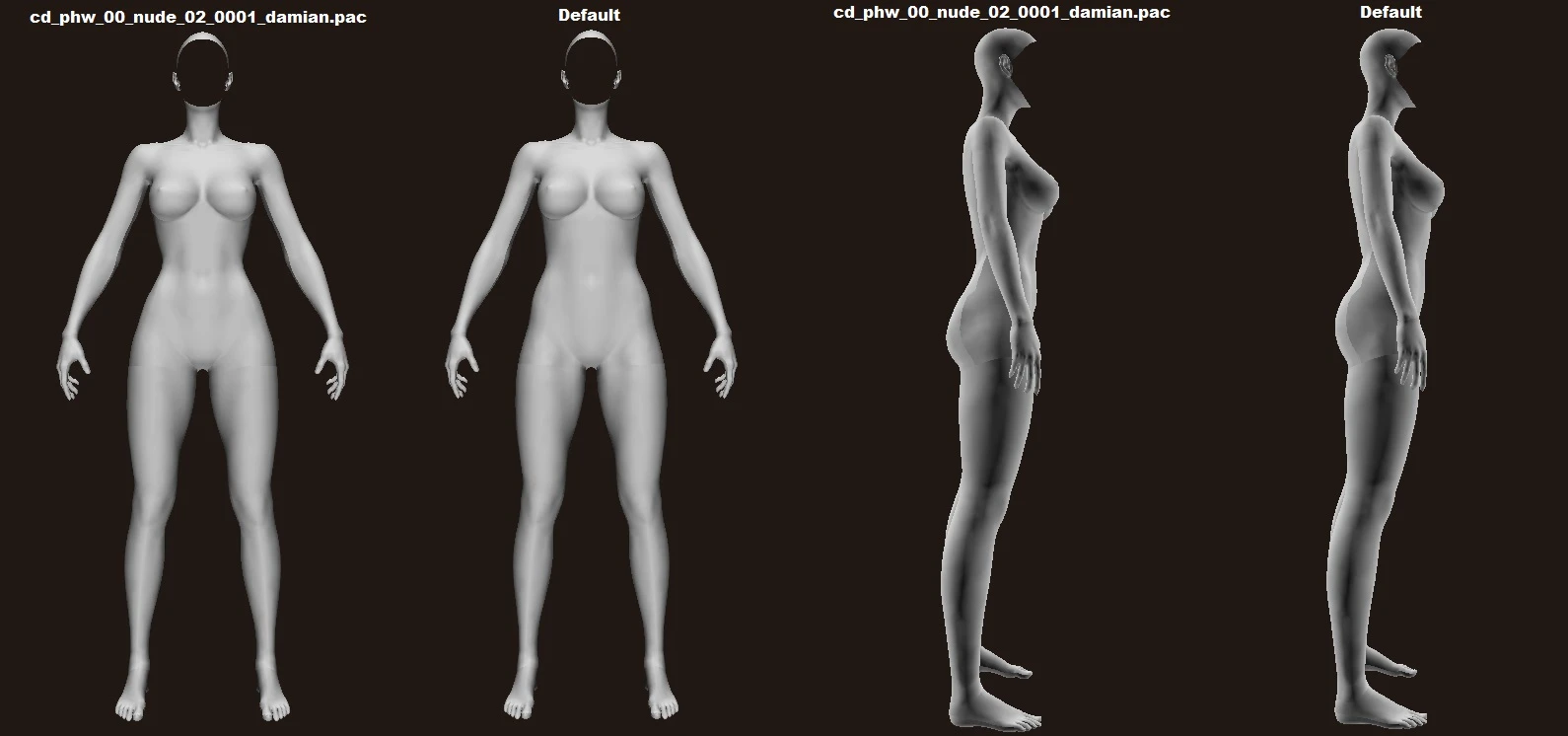 Unused (questionmark) Damiane Body made by Pearl Abyss