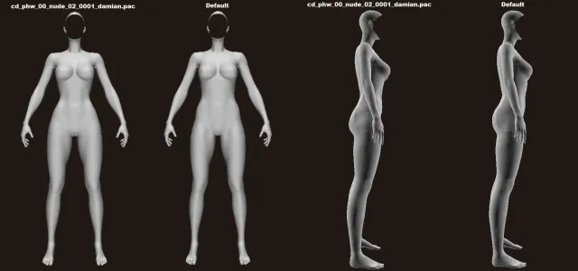 Unused (questionmark) Damiane Body made by Pearl Abyss