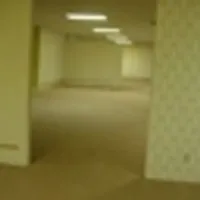 后室包