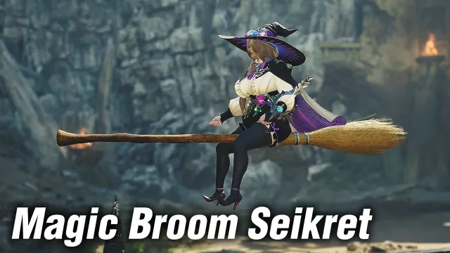 Magic Broom Seikret