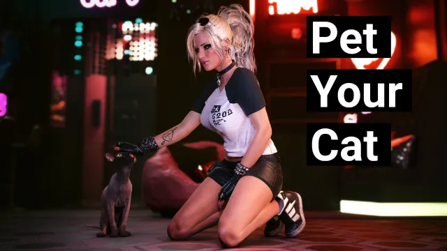 抚摸你的猫
