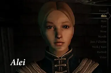 Barnzi 面部贴图