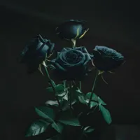 怕黑(恐怖包)
