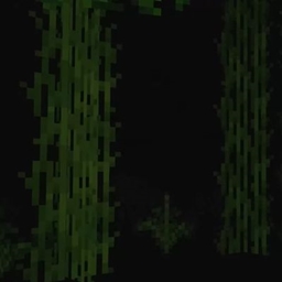 恐惧虚空