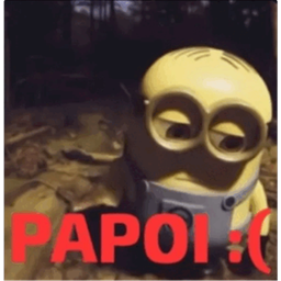 PapoiCraft