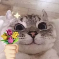 TPM_1