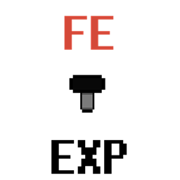 FE 实验