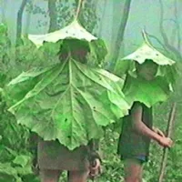 让我们去流浪吧