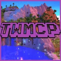 TWMCP -- 两周阶段