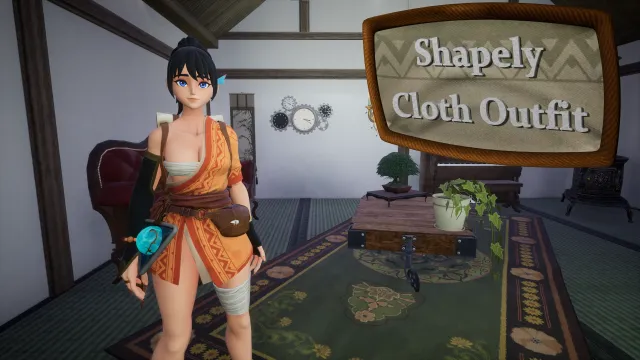 Shapely Cloth Outfit