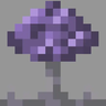 Mycoscape