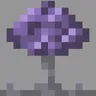 Mycoscape