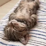ddd的随想