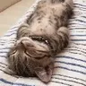 ddd的随想