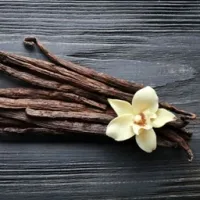 True (Best) Vanilla