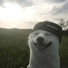 NoJumpDelay+