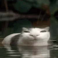 预期的方式