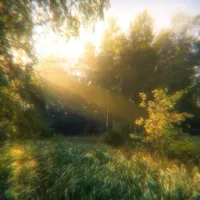 蒲公英极客
