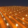 雅帕农场改造