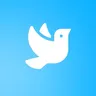 Canary