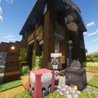 Illager Chef Trader