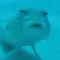 假期项目 V4