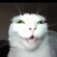 papuserverxd