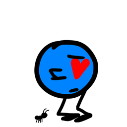 新食谱在此