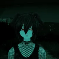 niko_2的错误