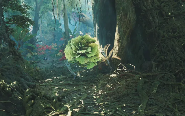 卷心菜啦啦巴里纳