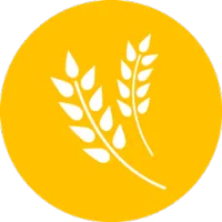 FarmingPlus