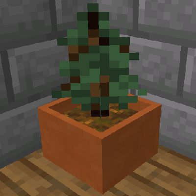 植树盆栽