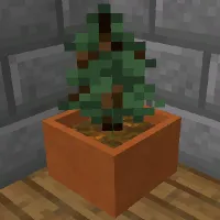 植树盆栽