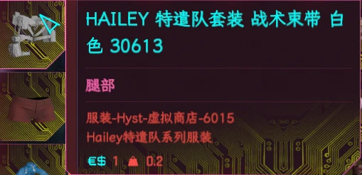Hailey 特遣队套装 XL 简体中文翻译