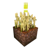 Better Farming + +