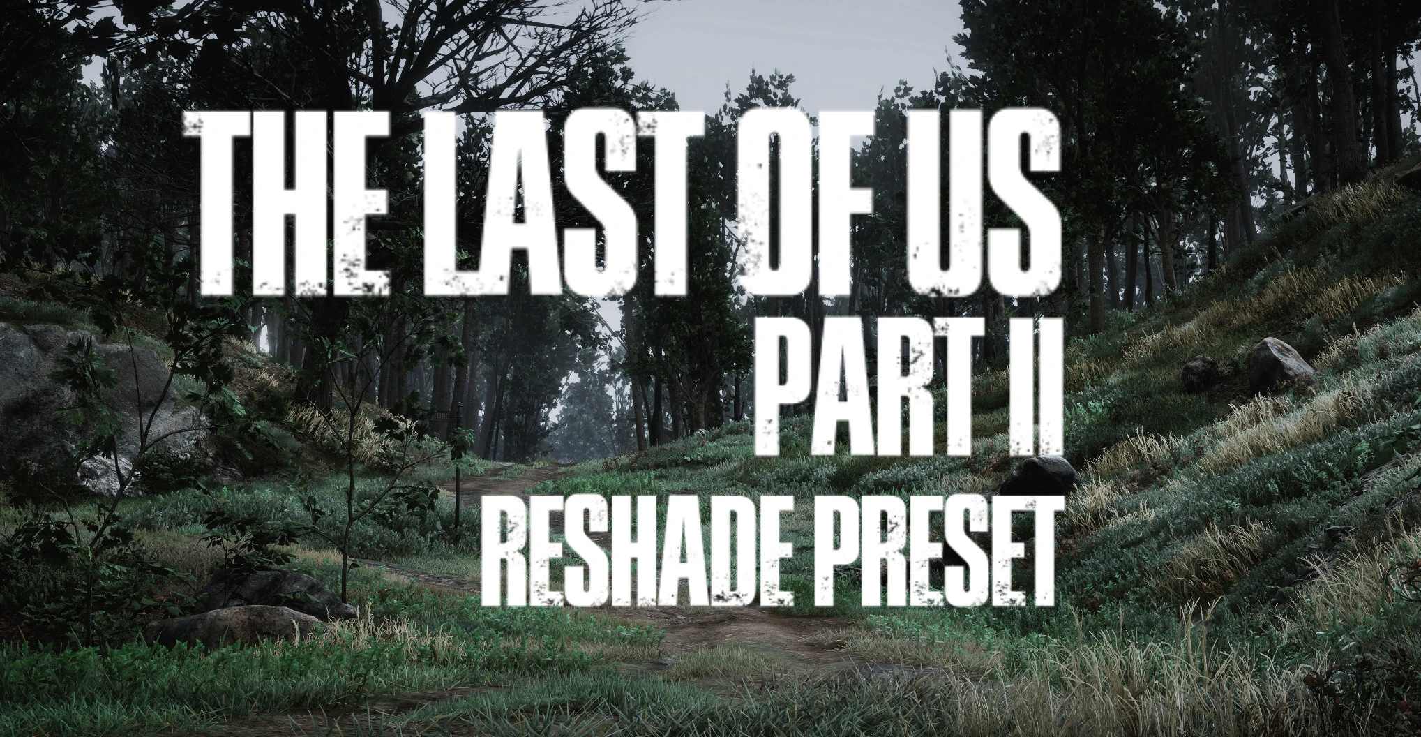 最后生还者 第二部 Reshade