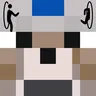 Followers Teleport Too