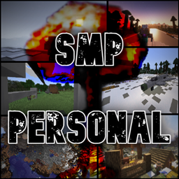 SMP 个人设置