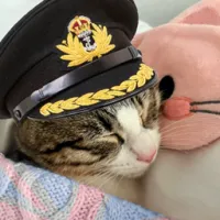 柠檬水SMP第四季