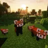 YDM's Red Panda