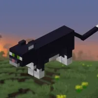 modipeq