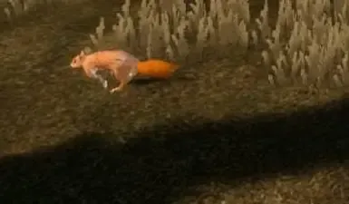 Eichkater