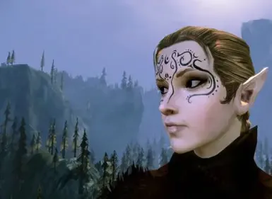 freezedriedbrains 制作的 Amaara Companion