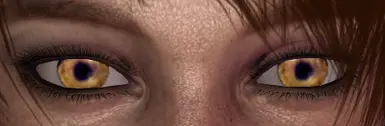 hd狼眼