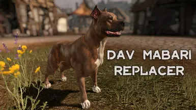 DAV 马巴利替换模组