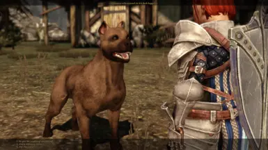 DAI Doggo(与Kaddis)