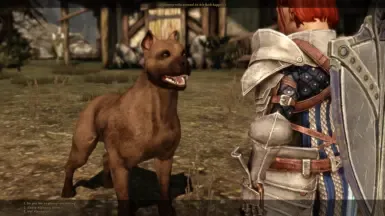 DAI Doggo（与Kaddis）