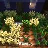 CTOV - Croptopia 兼容