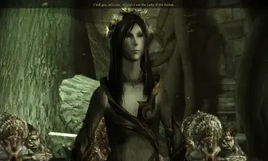 森林女士网格替换器