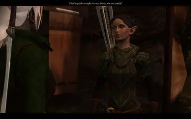 精灵 outfits for Dalish